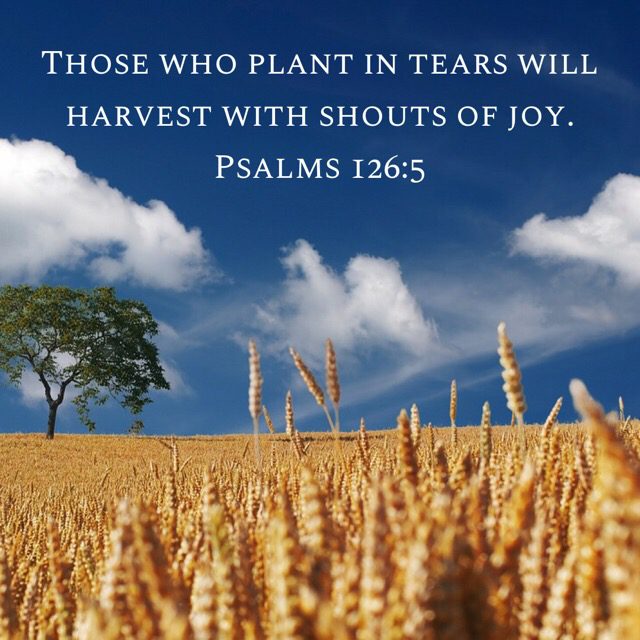 You are currently viewing Hot Tears become Harvest Joy