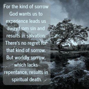 Read more about the article God wants us to experience sorrow!