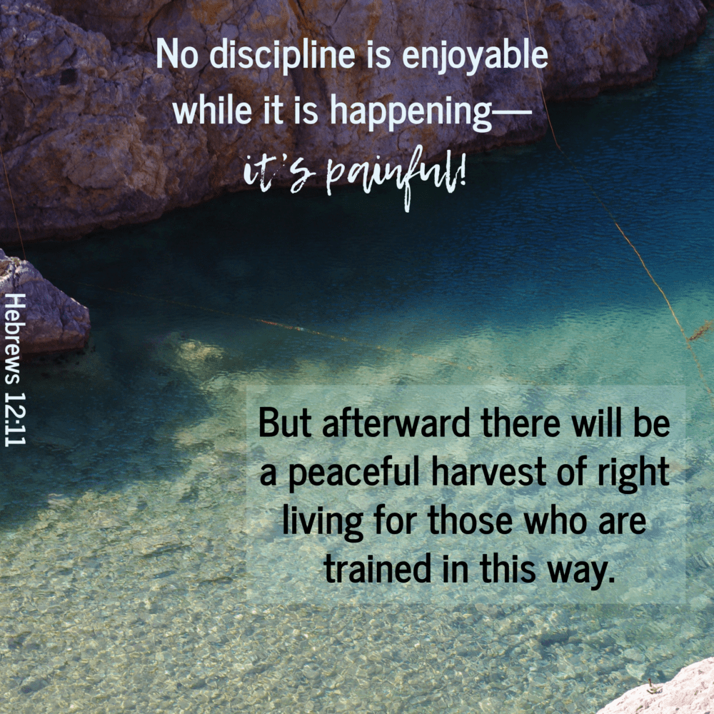 Read more about the article Discipline is good?