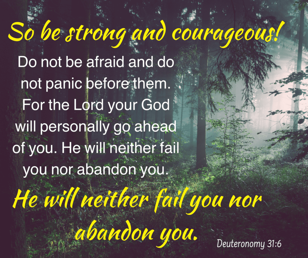 You are currently viewing Strength & Courage