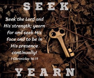 Read more about the article Seek & Yearn