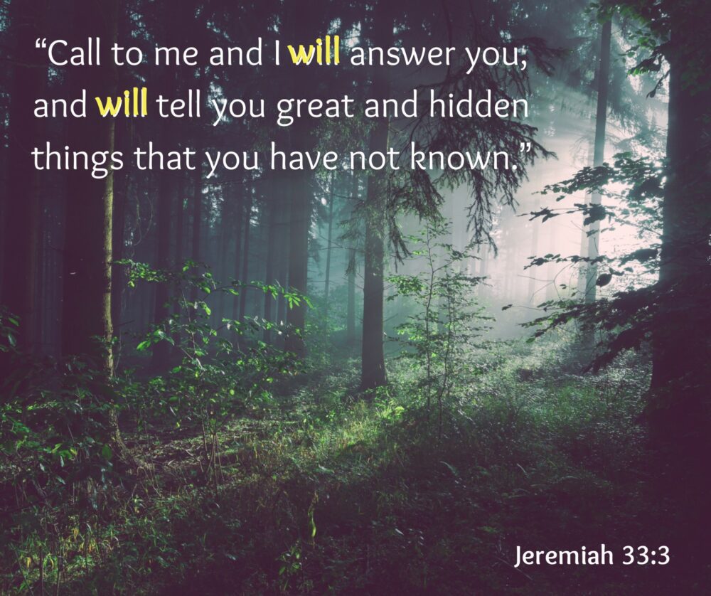 Read more about the article God WILL answer you.