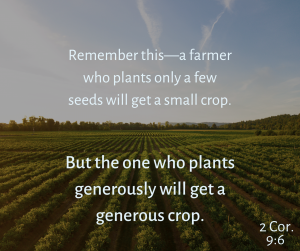 Read more about the article Consider the Harvest before you Plant