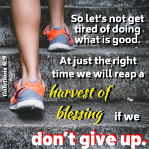 Read more about the article DON’T Give Up