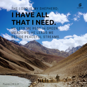Read more about the article Who is YOUR shepherd?