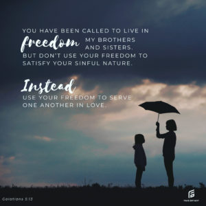Read more about the article Freedom means…