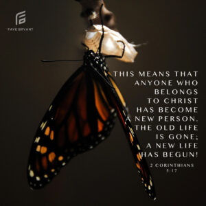 Read more about the article YOUR metamorphosis